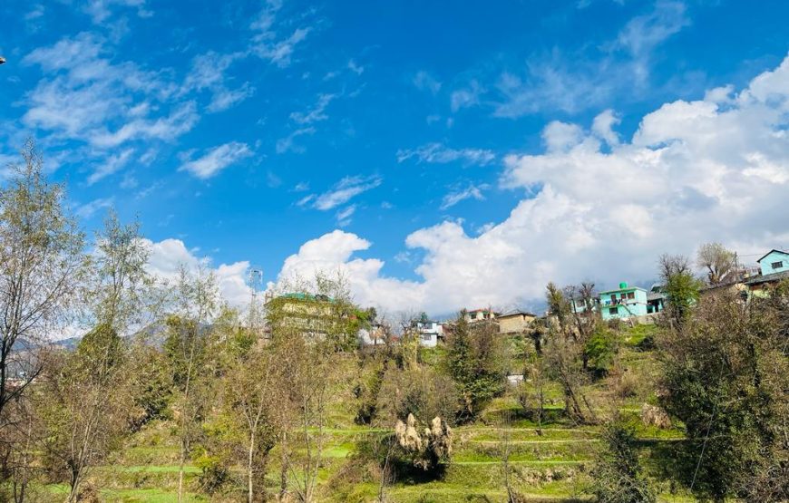 Hotel Snow Retreat, Dharamshala